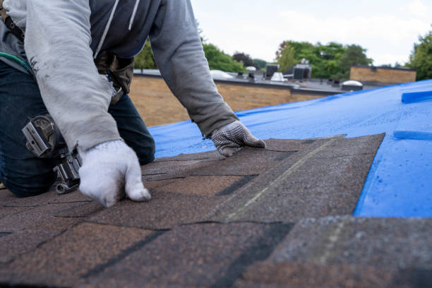Best New Roof Installation  in North Branch, MN