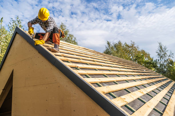 Best Roof Leak Repair  in North Branch, MN